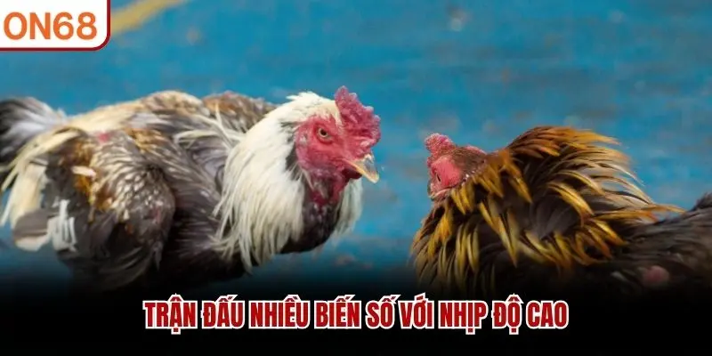 Trận đấu nhiều biến số với nhịp độ cao
